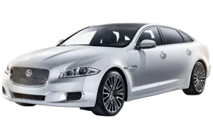 XF